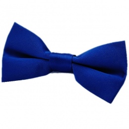 Boys Royal Blue Satin Plain Dickie Bow Tie on Elastic